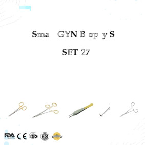 Small GYN Biopsy Set Small GYN Biopsy Set