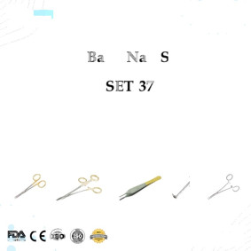 Basic Nail Set Basic Nail Set