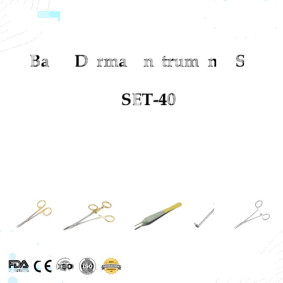 Basic Dermal Instrument Set Basic Dermal Instrument Set
