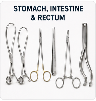 Stomach, Intestine & Rectum